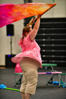 Vintage Senior Winterguard_260314_Hatboro-Horsham-DJK01088