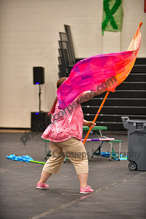Vintage Senior Winterguard_260314_Hatboro-Horsham-DJK01106