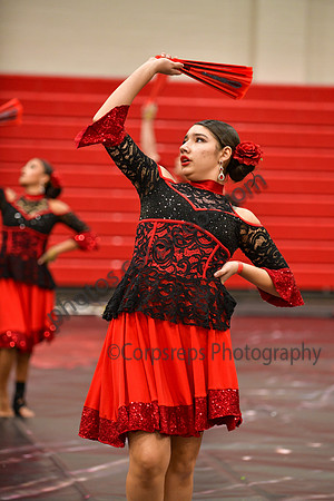 Elizabeth HS Guard_260314_Hatboro-Horsham-DJK01189