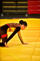 Roslyn HS Guard_260314_Hatboro-Horsham-DJK01614