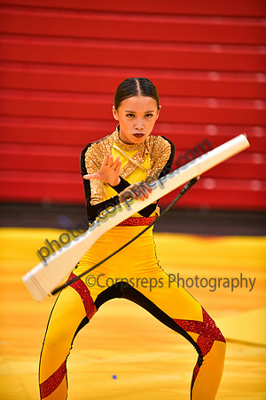 Roslyn HS Guard_260314_Hatboro-Horsham-DJK01627