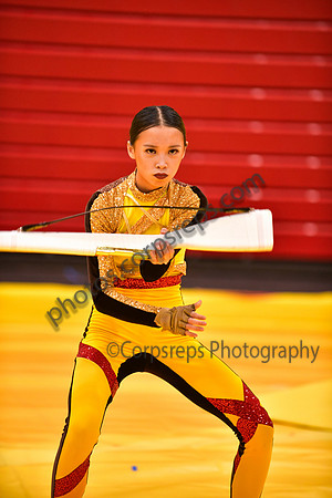 Roslyn HS Guard_260314_Hatboro-Horsham-DJK01628