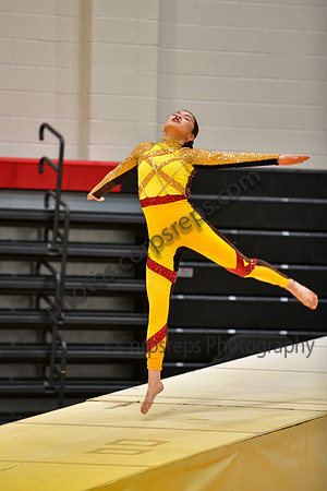 Roslyn HS Guard_260314_Hatboro-Horsham-DJK01635