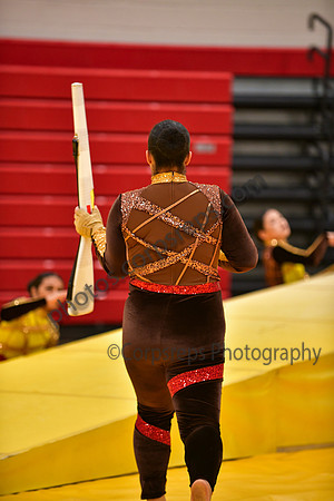 Roslyn HS Guard_260314_Hatboro-Horsham-DJK01636