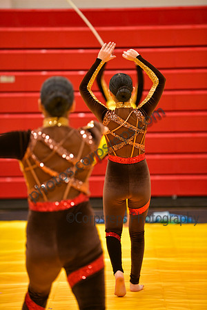 Roslyn HS Guard_260314_Hatboro-Horsham-DJK01653