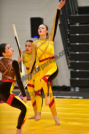 Roslyn HS Guard_260314_Hatboro-Horsham-DJK01657
