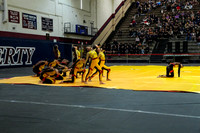 Roslyn Guard