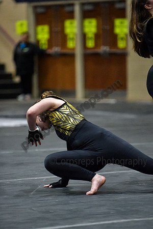 Princess Anne HS_260321_Bethlehem-DKWGI00227