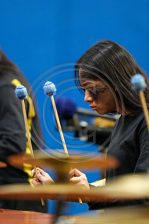Highland Regional Drumline_230401_Spring-Ford-01893