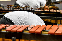 Bergenfield Drumline_190331_Fair Lawn-5882