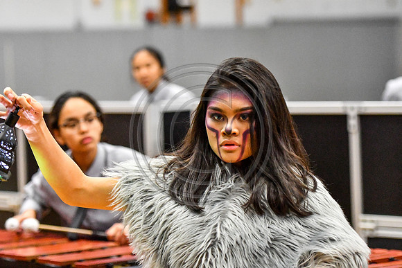 Bergenfield Drumline_190331_Fair Lawn-5920