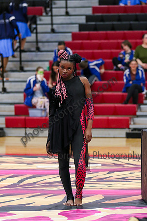 Winter Star_260328_Elizabeth-AL00001