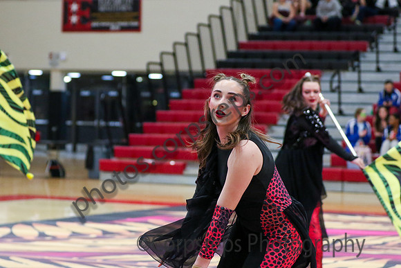 Winter Star_260328_Elizabeth-AL00044