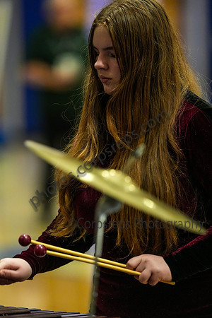 Haddon Heights Drumline_260329_Williamstown-05965