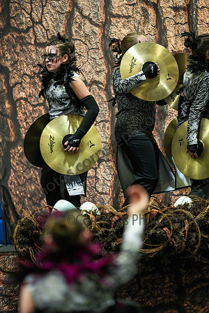 Williamstown Drumline_260329_Williamstown-06572