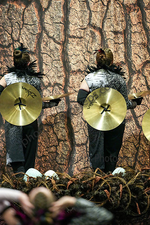 Williamstown Drumline_260329_Williamstown-06574
