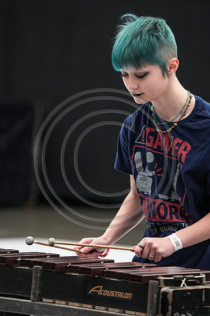 Bald Eagle Percussion_230504_Wildwood-00032