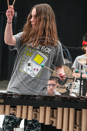 Bald Eagle Percussion_230504_Wildwood-00022