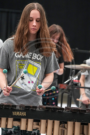 Bald Eagle Percussion_230504_Wildwood-00028