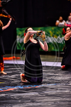 Spring-Ford MS Guard_170505_Wildwood-8675