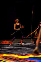 Spring-Ford MS Guard_170505_Wildwood-8655