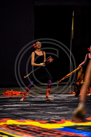 Spring-Ford MS Guard_170505_Wildwood-8655