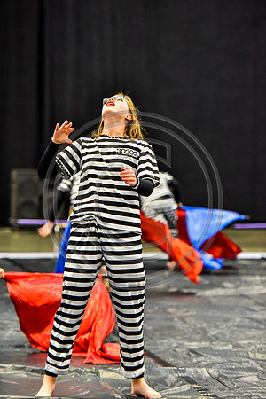 Spring-Ford MS Guard-1072