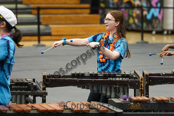 North Brunswick Percussion_260411_South Brunswick HS-jb00829