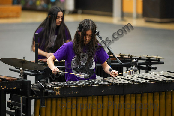 Walt Whitman Percussion_260411_South Brunswick HS-jb00107
