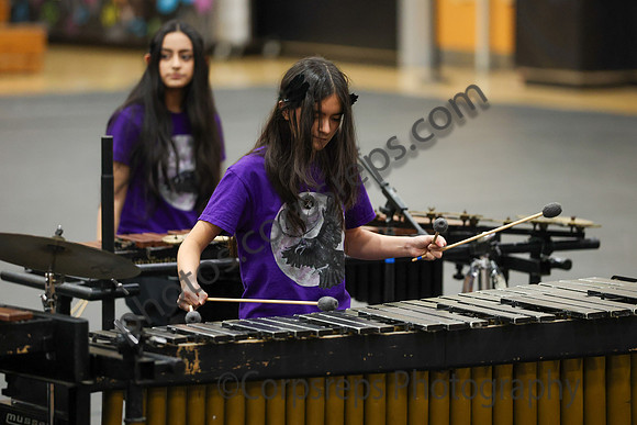 Walt Whitman Percussion_260411_South Brunswick HS-jb00118
