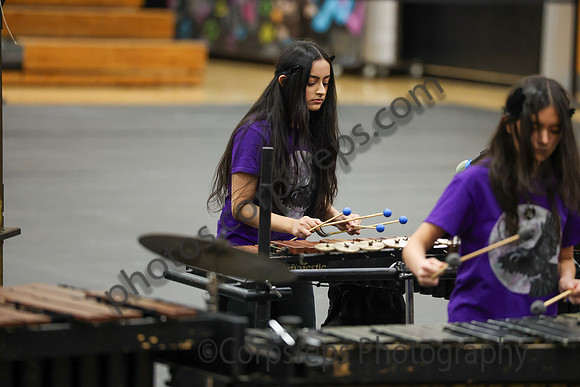 Walt Whitman Percussion_260411_South Brunswick HS-jb00119