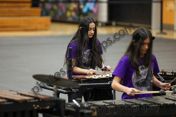 Walt Whitman Percussion_260411_South Brunswick HS-jb00120
