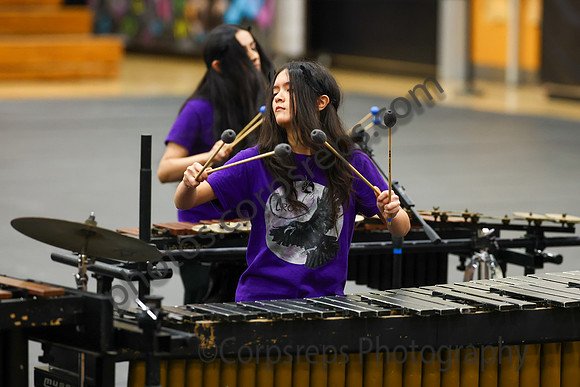 Walt Whitman Percussion_260411_South Brunswick HS-jb00184