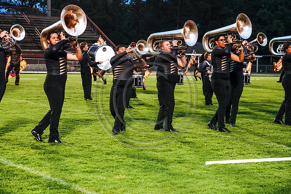 Carolina Gold_190713_Millbrook-03308