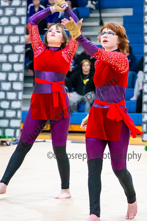 Spring Grove Guard_250222_Lower Dauphin_TS00003