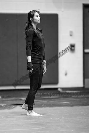 N-8 Winterguard_250208_Council Rock South-03592