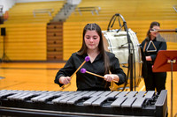 Boyertown Area Percussion_260411_Boyertown Area-DJK01178