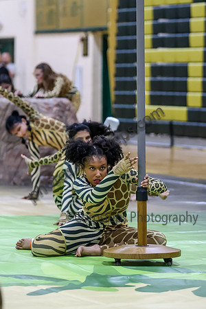 Hicksville Guard_260411_Brick Memorial HS-ms00963