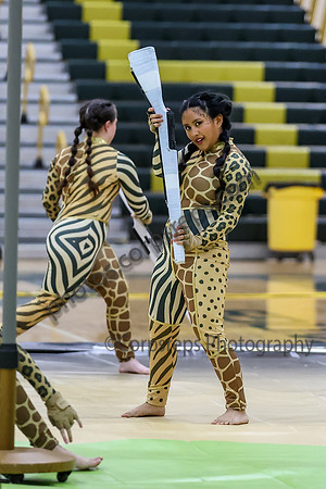 Hicksville Guard_260411_Brick Memorial HS-ms00958