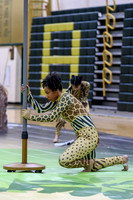 Hicksville Guard_260411_Brick Memorial HS-ms00956