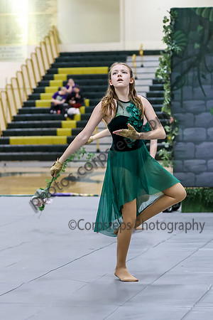Mahwah Guard_260411_Brick Memorial HS-ms01587