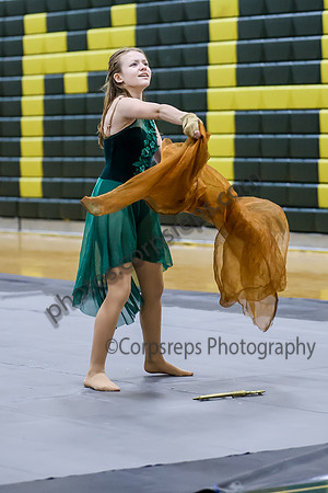 Mahwah Guard_260411_Brick Memorial HS-ms01593