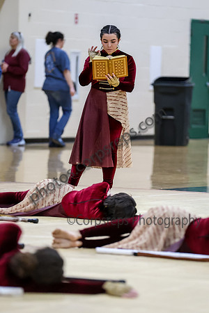 Mineola Guard_260411_Brick Memorial HS-ms02036