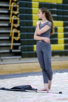 N-8 Novice Winterguard_260411_Brick Memorial HS-ms02499