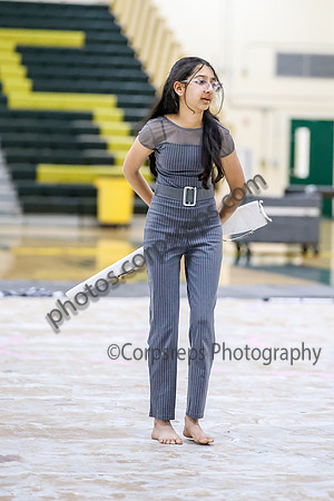 N-8 Novice Winterguard_260411_Brick Memorial HS-ms02516