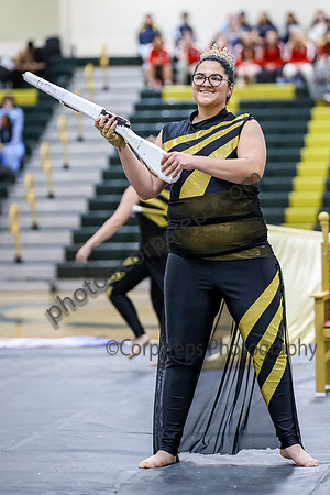 N-8 Winterguard_260411_Brick Memorial HS-ms02636