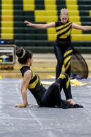 N-8 Winterguard_260411_Brick Memorial HS-ms02615