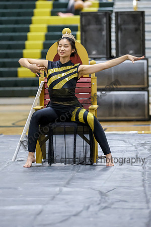 N-8 Winterguard_260411_Brick Memorial HS-ms02616