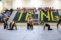 N-8 Winterguard_260411_Brick Memorial HS-ms02611
