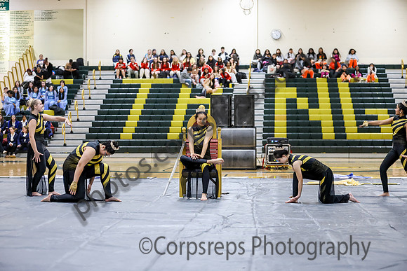 N-8 Winterguard_260411_Brick Memorial HS-ms02611